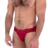 Nasty Pig Core Jockstrap - Red -Underwear Speedo 51702 side 27215.1573685559