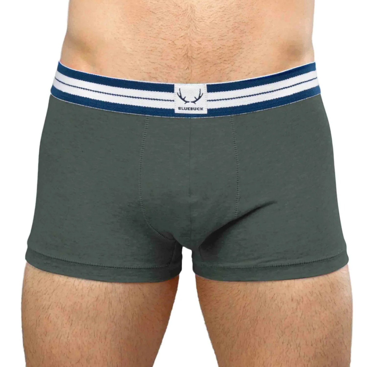 BlueBuck - Pine Green Trunk - Pine 3 BlueBuck - Pine Green Trunk - Pine