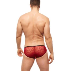 Gregg Homme - Starr Brief - Red 11 Gregg Homme - Starr Brief - Red -Underwear Speedo 62467 LS2 63404.1686700434