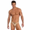 Gregg Homme Virgin Brief -Underwear Speedo 6371 57506.1652561628