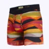 Stance – Feel 360 Boxer Briefs W/ Wholester - Faux Real Multi -Underwear Speedo 64523 F 95067.1664927648