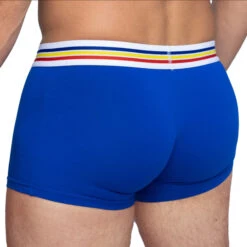 Bike - Cotton Stretch Trunk - Royal Blue -Underwear Speedo 66318 B 76776.1666050144