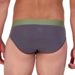Wood - Modal Hip Brief - Iron -Underwear Speedo 66427 B2 21025.1666056045