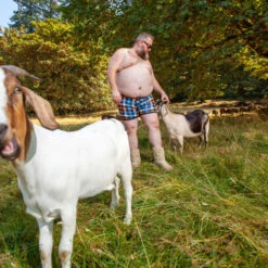 BEAR SKN - Bamboo Boxer Brief - Autumn Backwoods -Underwear Speedo 67066 LS 52402.1670551360