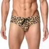 St33le - Freestyle Swim Brief W/ Cup - Honey/Brown/Leopard -Underwear Speedo 70146 F 33072.1684442411