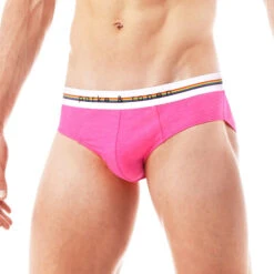 Park & Ronen - Pride Low Rise Mesh Brief - Heather Pink -Underwear Speedo 70332 S 58504.1684969117