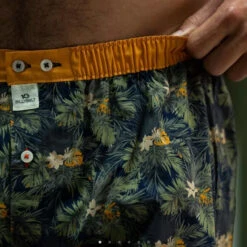 Billybelt - Organic Cotton Boxer Brief - Canopy -Underwear Speedo 70379 D 34714.1686764701